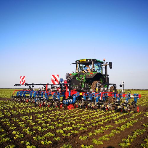 拖拉机悬挂行间中耕机 - K.U.L.T.iSelect  - K.U.L.T. Kress Umweltschonende Landtechnik GmbH - 弹齿 / 导向系统