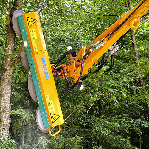 树木栽培修剪机 - FSG 2000 - MULAG Fahrzeugwerk Heinz Wössner GmbH & Co. KG - 悬挂式 / 液压 / 片式