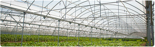 温室篷布 - Agroclima® series - POLIVOUGA Indústria de Plásticos, S.A. - 无滴