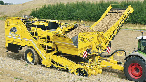 土豆收割机 - Keiler 2 RK21 - ROPA Fahrzeug- und Maschinenbau GmbH - 牵引式 / 2行