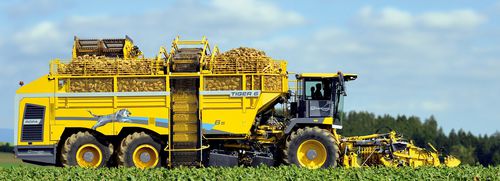 红甜菜收割机 - TIGER 6S - ROPA Fahrzeug- und Maschinenbau GmbH - 自走式 / 1行