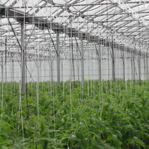 温室篷布 - ASTER SUPRA - SOTRAFA, S.A. - 聚乙烯 / 防紫外线 / 热效应