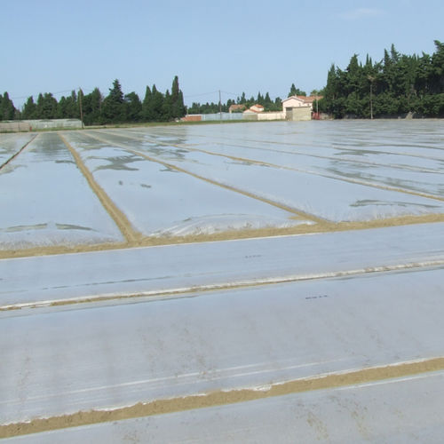 土壤消毒净化篷布 - ECO PLUS - SOTRAFA, S.A. - 防紫外线 / 耐化学腐蚀