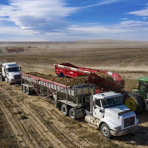 自卸拖车 - 2050 - Spudnik Equipment Company LLC/斯巴德尼克设备 - 5车轴 / 农用