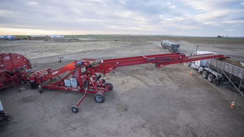 土豆输送机 - 780  - Spudnik Equipment Company LLC/斯巴德尼克设备 - 带式 / 链条 / 移动式