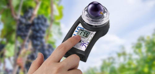 红外线折射仪 - 25031 - STEP Systems GmbH - 糖 / 水果 / 便携式