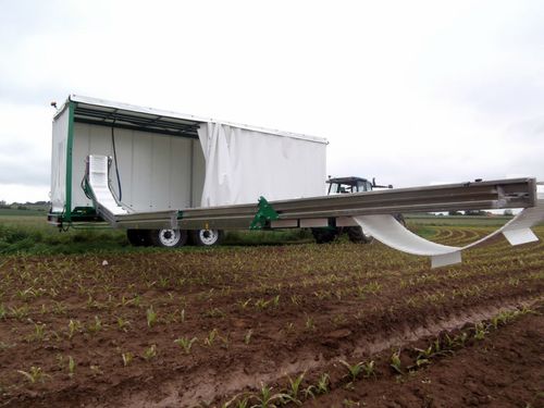 西兰花收获机传送带 - DELECROIX  - Sweere Agricultural Equipment - 卷心菜 / 菜花 / 甜瓜