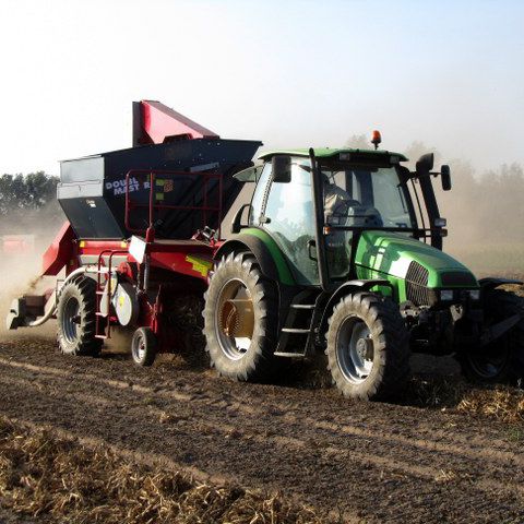 小麦打谷机 - Double Master II - Sweere Agricultural Equipment - 牵引式 / PTO驱动