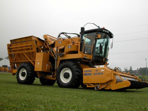 蔬菜收割机 - Oxbo - 2475 - Sweere Agricultural Equipment - 自走式 / 2行