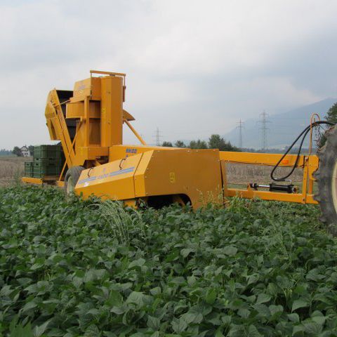 菜豆类收割机 - Oxbo BH100 - Sweere Agricultural Equipment - 豌豆 / 牵引式 / 1行