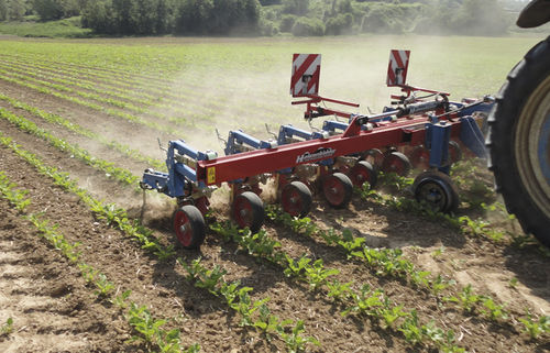 拖拉机悬挂行间中耕机 - Thomas Hatzenbichler Agro-Technik GmbH - 除草 / 固定 / 碟式