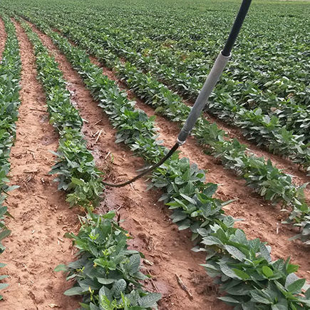 移动式滴灌系统 - PMDI™ - T-L Irrigation Company