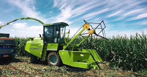 自走式青贮收割机 - 4QZ-3000A - Zoomlion Heavy Machinery Co., Ltd./中联重科