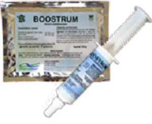 牛犊初乳替代品 - BOOSTRUM - ALPHATECH SAS - 山羊 / 猪 / 颗粒