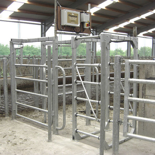牛用分隔门 - Pegasus - ATL - Agricultural Technology Ltd.