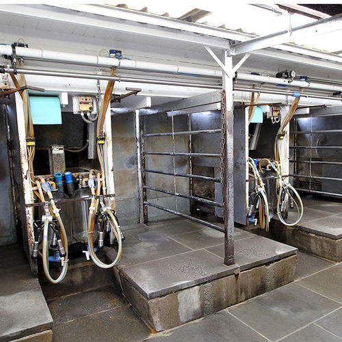 牛漏斗喂食器 - Abreast  - ATL - Agricultural Technology Ltd. - 钢 / 单入口 / 墙面固定