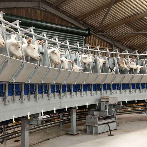 牛漏斗喂食器 - ATL - Agricultural Technology Ltd. - 钢 / 挤奶厅