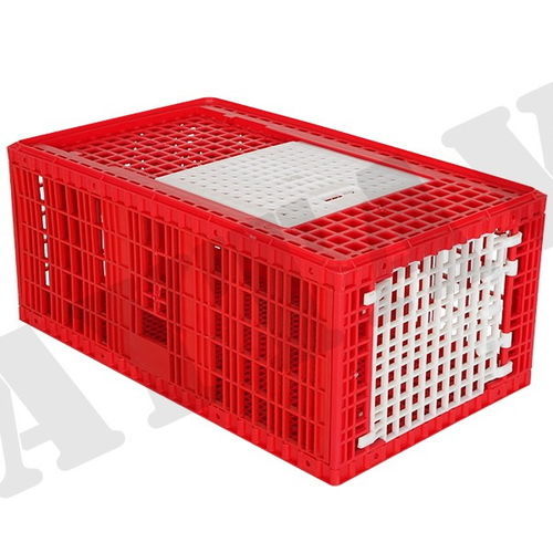 火鸡运输笼 - 301101 - AYTAV POULTRY EQUIPMENTS - 塑料
