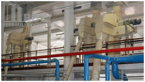 立式链斗式升降机 - BDW Feedmill Systems GmbH & Co. KG