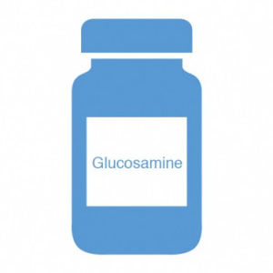 动物饲料补充剂 - Glucosamine - BIOIBERICA, S.A. - 用于宠物 / 糖胺聚糖 / 干式
