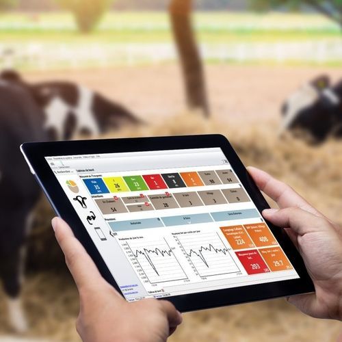 管理软件 - HERDMETRIX - Boumatic Robotics B.V. - 农用 / 牧群 / 实时