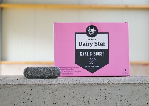 营养补充丸 - DairyStar Garlic Boost - AGRIPROM - 牛 / 有机 / 增强乳房活力