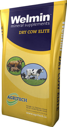动物饲料补充剂 - Welmin Dry Cow Elite - AGRITECH - 不产乳母牛 / 矿物质 / 维生素