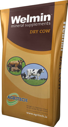 动物饲料补充剂 - Welmin Dry Cow - AGRITECH - 带仔母牛 / 不产乳母牛 / 矿物质