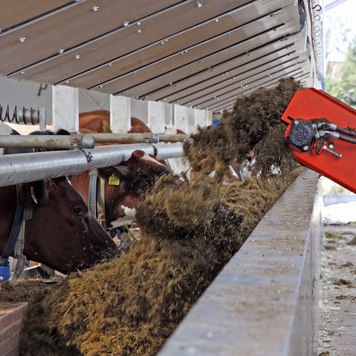 牛食槽 - Feedwall - Cowhouse International bv - 多入口 / 墙面固定