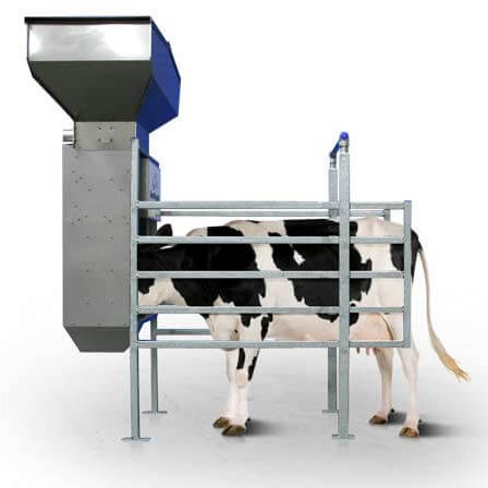 牛饲喂站 - OPTIFEEDER  - Dairymaster - 挤奶厅