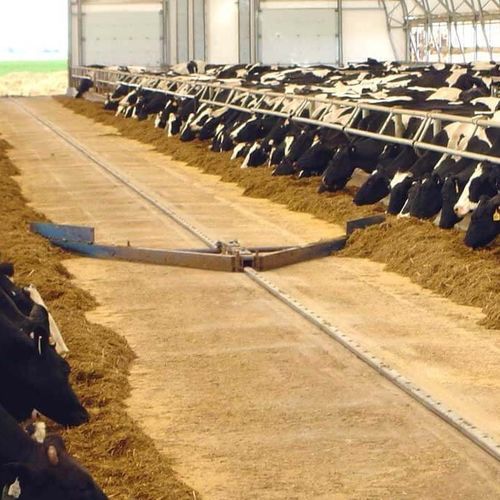 轨道草料推料车 - FEEDMAX  - Dairymaster