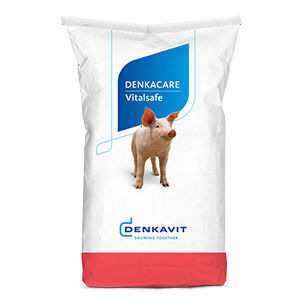 动物饲料补充剂 - DENKACARE VITALSAFE - Denkavit Futtermittel GmbH - 猪崽 / 矿物质 / 粉末
