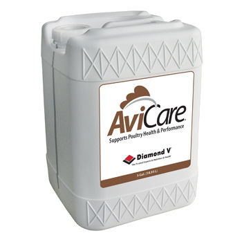 动物饲料补充剂 - AviCare® - Diamond V - 家禽 / 含有酵母 / 液体