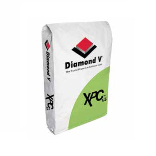 动物饲料补充剂 - Original XPC™LS - Diamond V - 牛 / 矿物质 / 蛋白质
