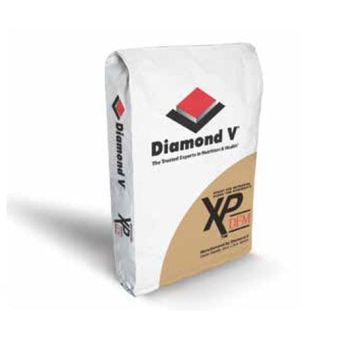 酶饲料添加剂 - XP™ DFM - Diamond V - 微生物 / 牛 / 干式