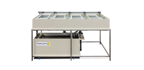 鱼鱼卵孵化器 - 4x Hatching trays - Aquaculture ID - 水产养殖