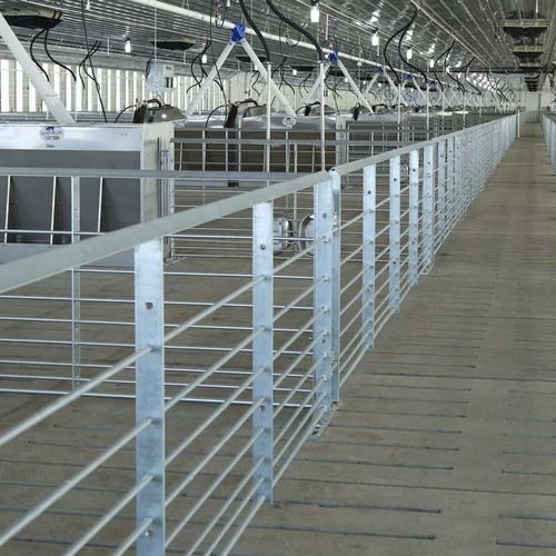 畜牧养殖护栏 - 4470108160 - Hog Slat - 加固 / 猪用 / 金属