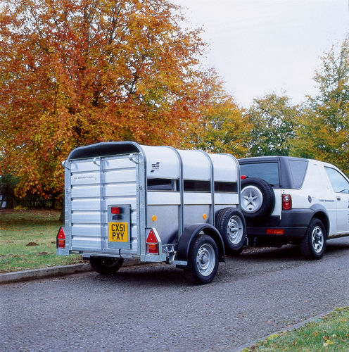 单车轴牲畜运输车 - P series - Ifor Williams Trailers Ltd.