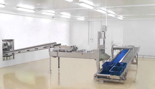 仔鸡运输筐 - Innovatec Hatchery Automation