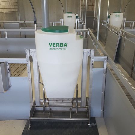 猪用漏斗喂食器 - VERBA - 不锈钢 / 带乳头