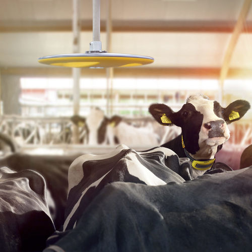 畜舍监控系统 - Nedap Livestock Management - 牛用 / 定位 / 移动式