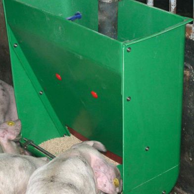 猪用漏斗喂食器 - 445 - OK PLAST - 塑料 / 多入口 / 墙面固定