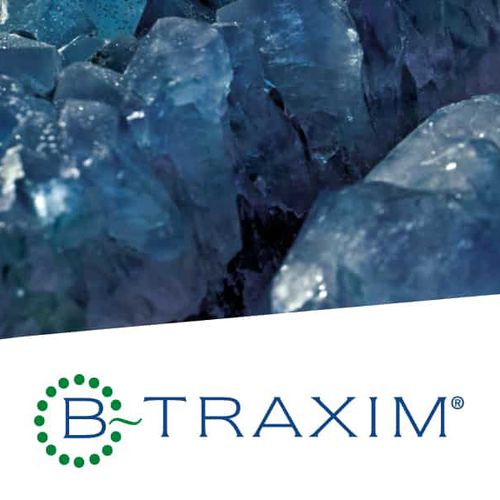 家禽饲料添加剂 - B-TRAXIM® - Pancosma - 猪 / 绵羊 / 牛
