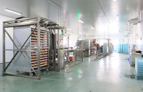 自动光检灯 - Qingdao Xingyi Electronic Equipment Co., Ltd.