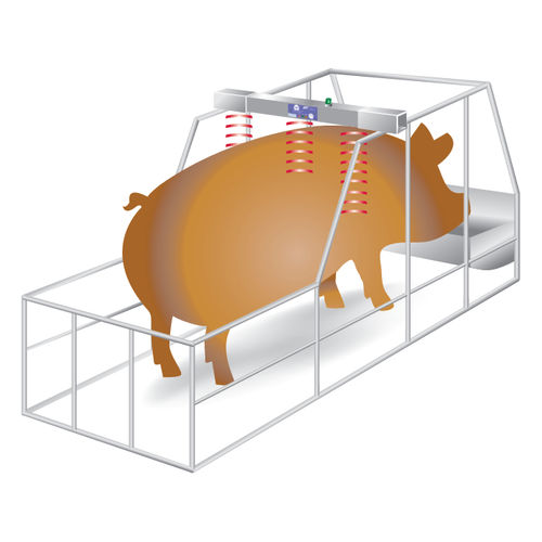 家畜监控系统 - PigWatch  - Ro-Main - 排卵 / 热量 / 远距离