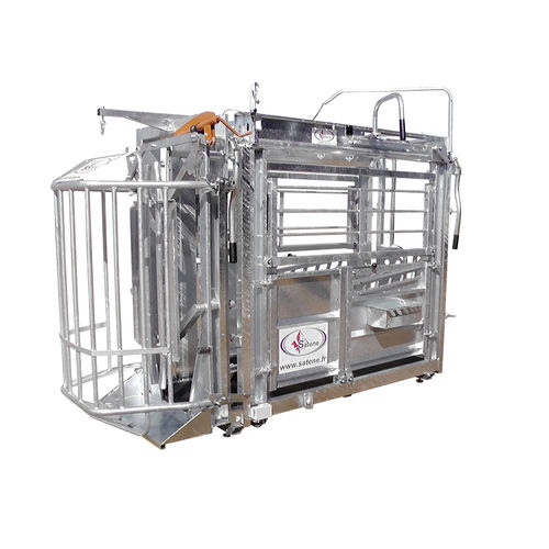 牛保定架 - CCF 3500  - SATENE SAS - 带有称重装置 / 剖腹产