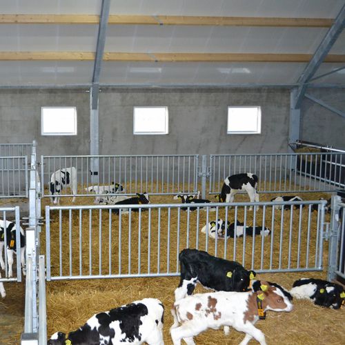 畜牧养殖护栏 - Partition barriers - Spinder Dairy Housing Concepts - 加固 / 牧场 / 牛用