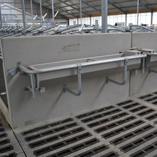牛用饮水器 - 150, 200, 300 - Spinder Dairy Housing Concepts - 槽型 / 不锈钢 / 多入口