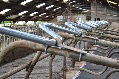 牛颈栏 - Wave neckbar - Spinder Dairy Housing Concepts
