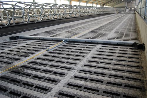 绳索式刮粪机 - Slatted Floor Scraper - Spinder Dairy Housing Concepts - 直线型 / 条缝地面 / 自动